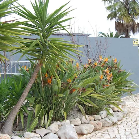 Monte Alegrete With Sea View Villa *