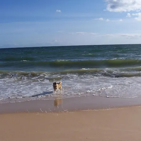 Monte Alegrete With Sea View Villa *