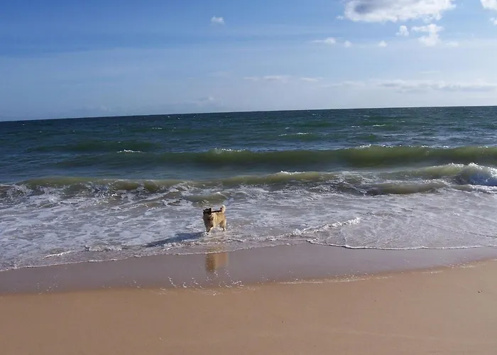 Monte Alegrete With Sea View Villa *